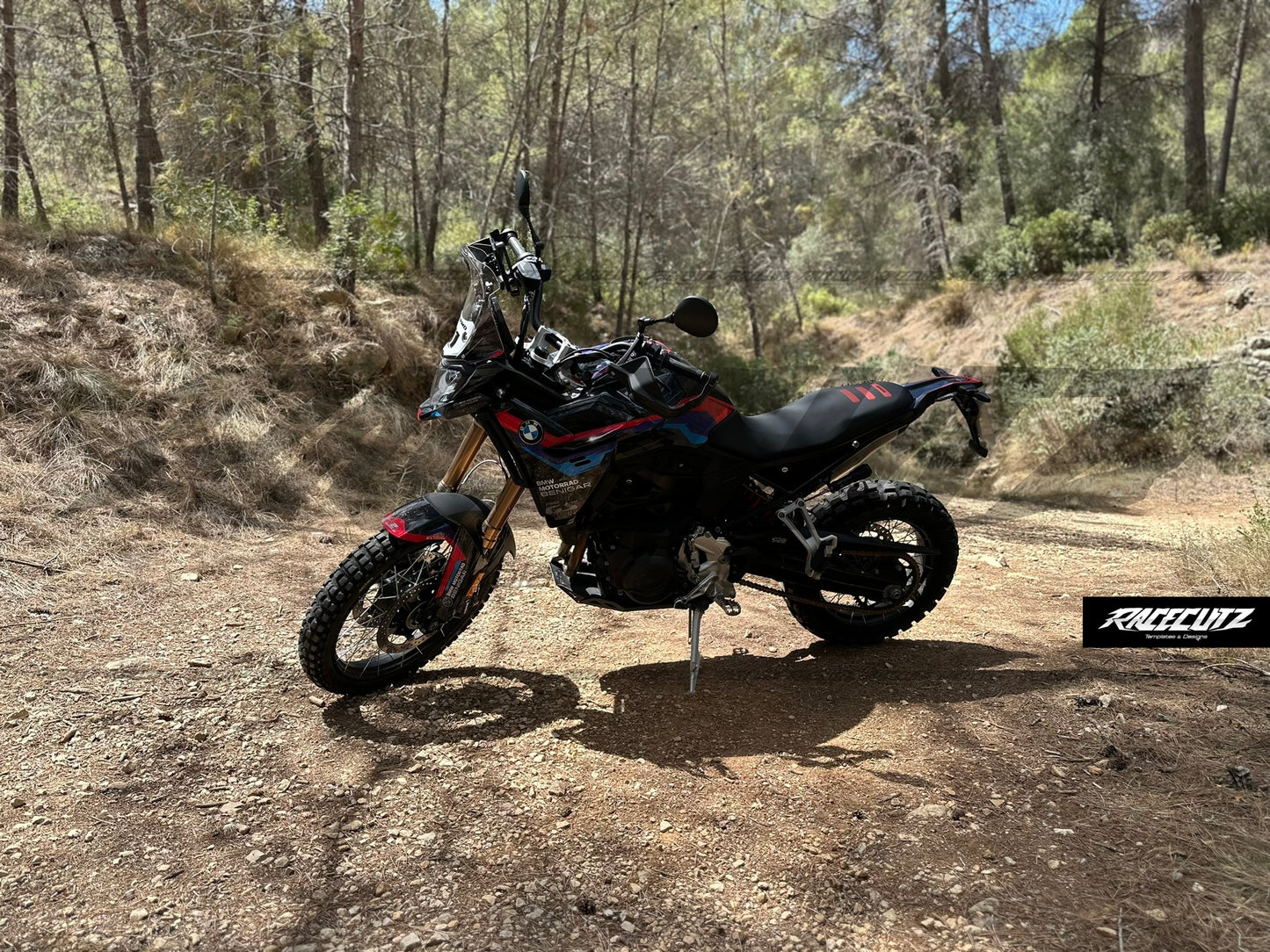 BMW F 900 GS 2024-2025 TEMPLATE