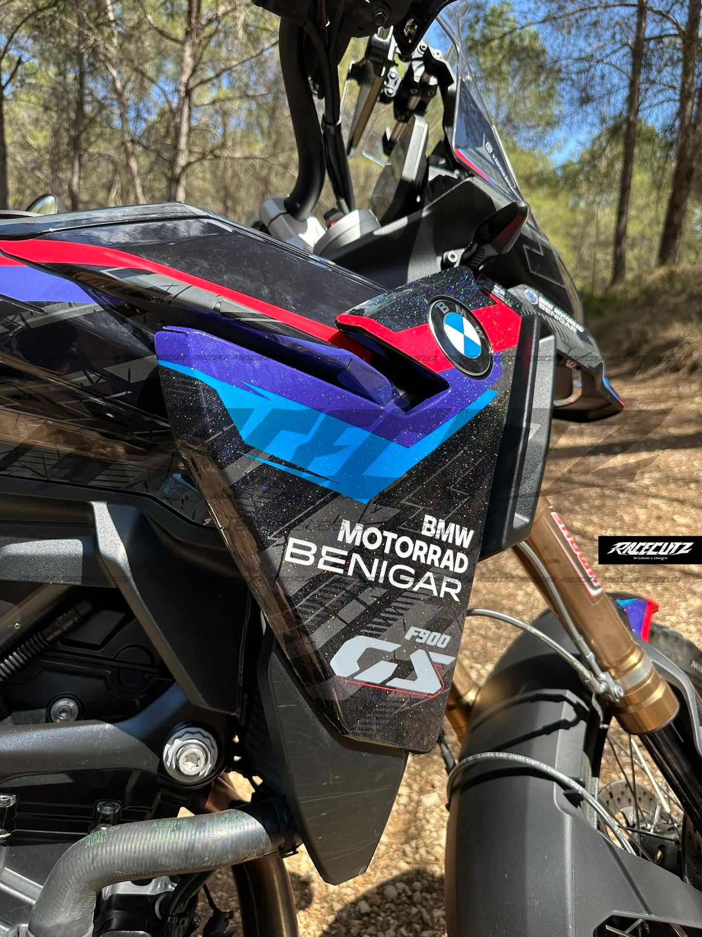 BMW F 900 GS 2024-2025 TEMPLATE
