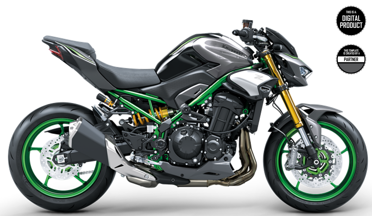 KAWASAKI Z900 2025 TEMPLATE