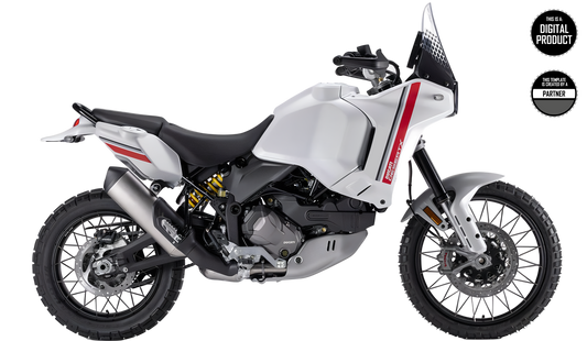 DUCATI DESERT X TEMPLATE