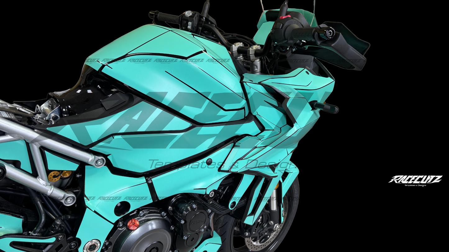 SUZUKI GSX-S 1000 GX 2024-2026 TEMPLATE