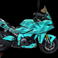 SUZUKI GSX-S 1000 GX 2024-2026 TEMPLATE
