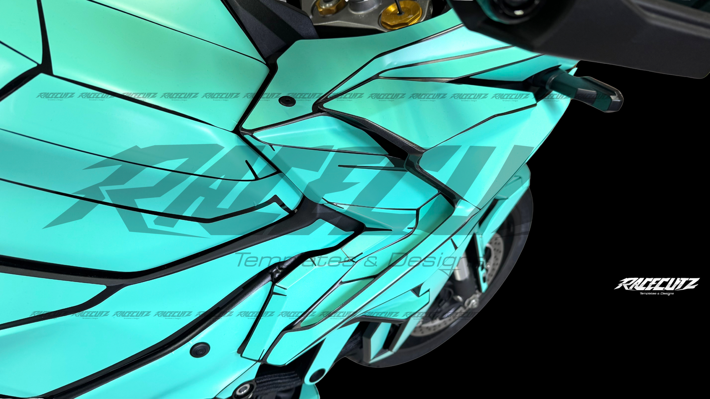 SUZUKI GSX-S 1000 GX 2024-2026 TEMPLATE