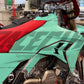 DUCATI DESMO 450 MX 2026 TEMPLATE