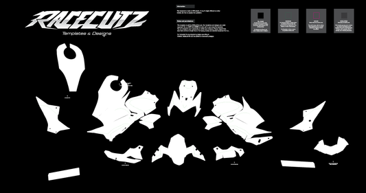 KAWASAKI Z900 2025 TEMPLATE