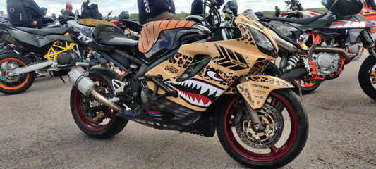 SHARK DESIGN - HONDA CBR 600 F4I 2001-2006 STUNT