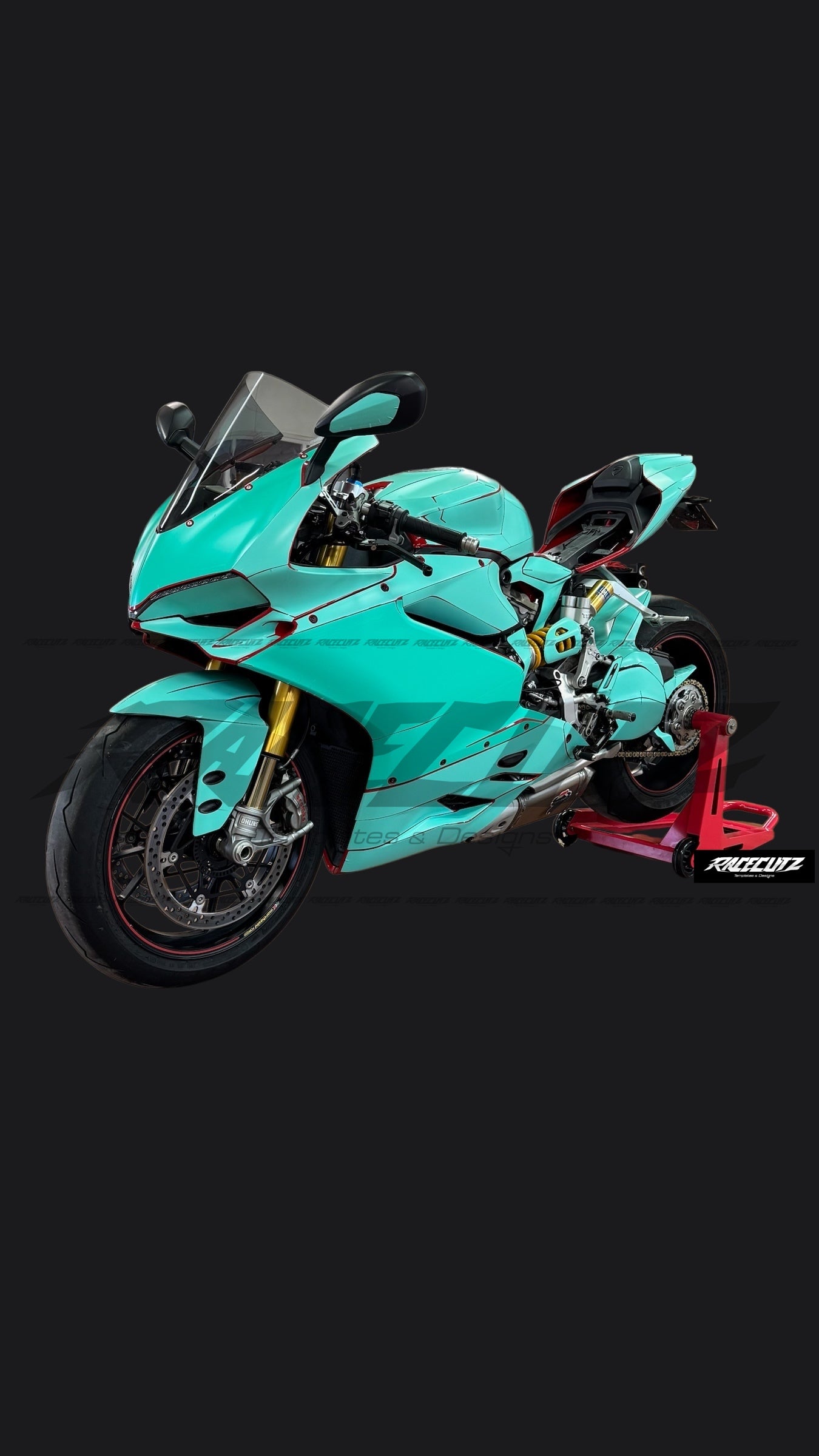 DUCATI 1299 PANIGALE 2015-2017 TEMPLATE