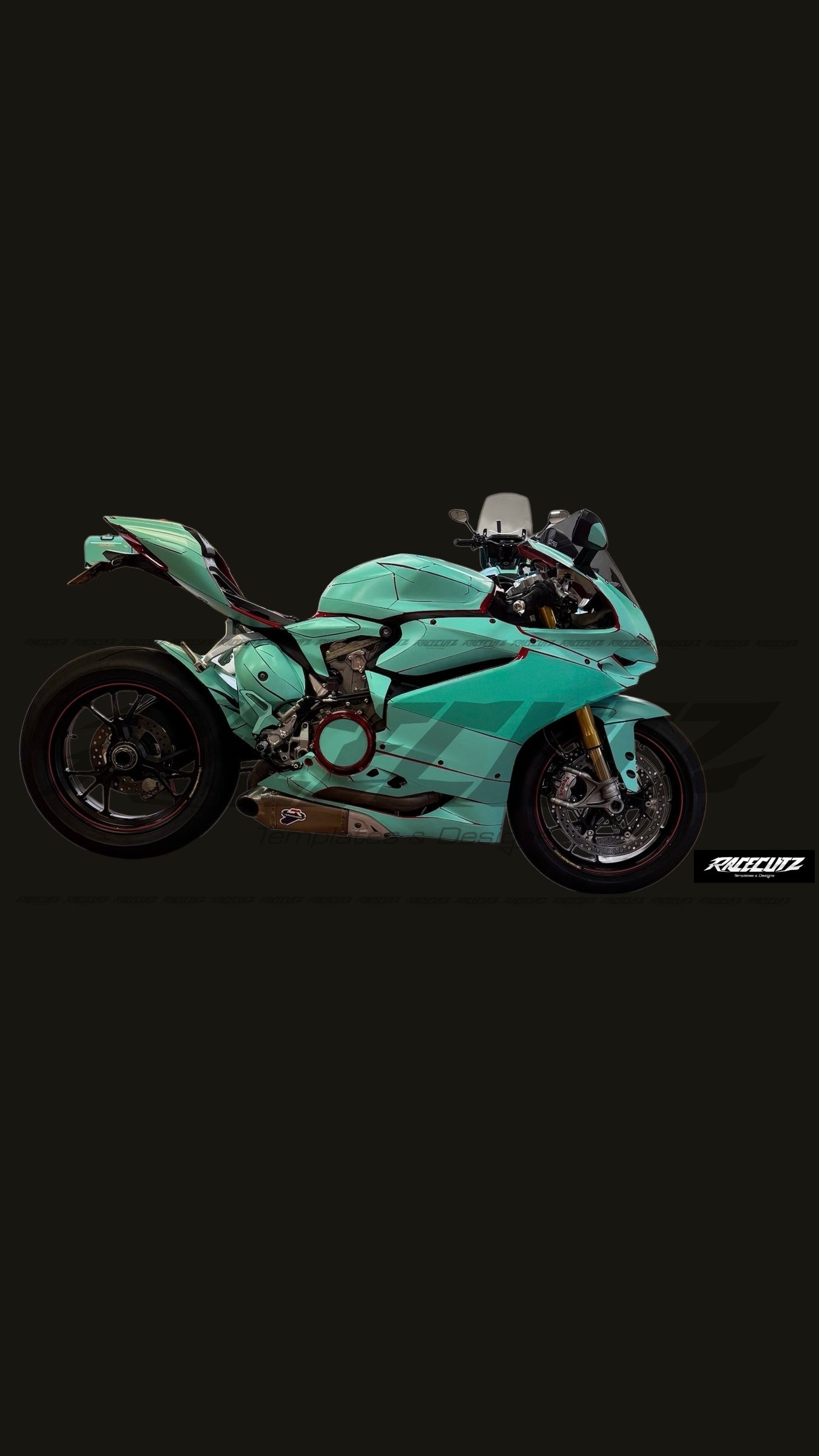 DUCATI 1299 PANIGALE 2015-2017 TEMPLATE