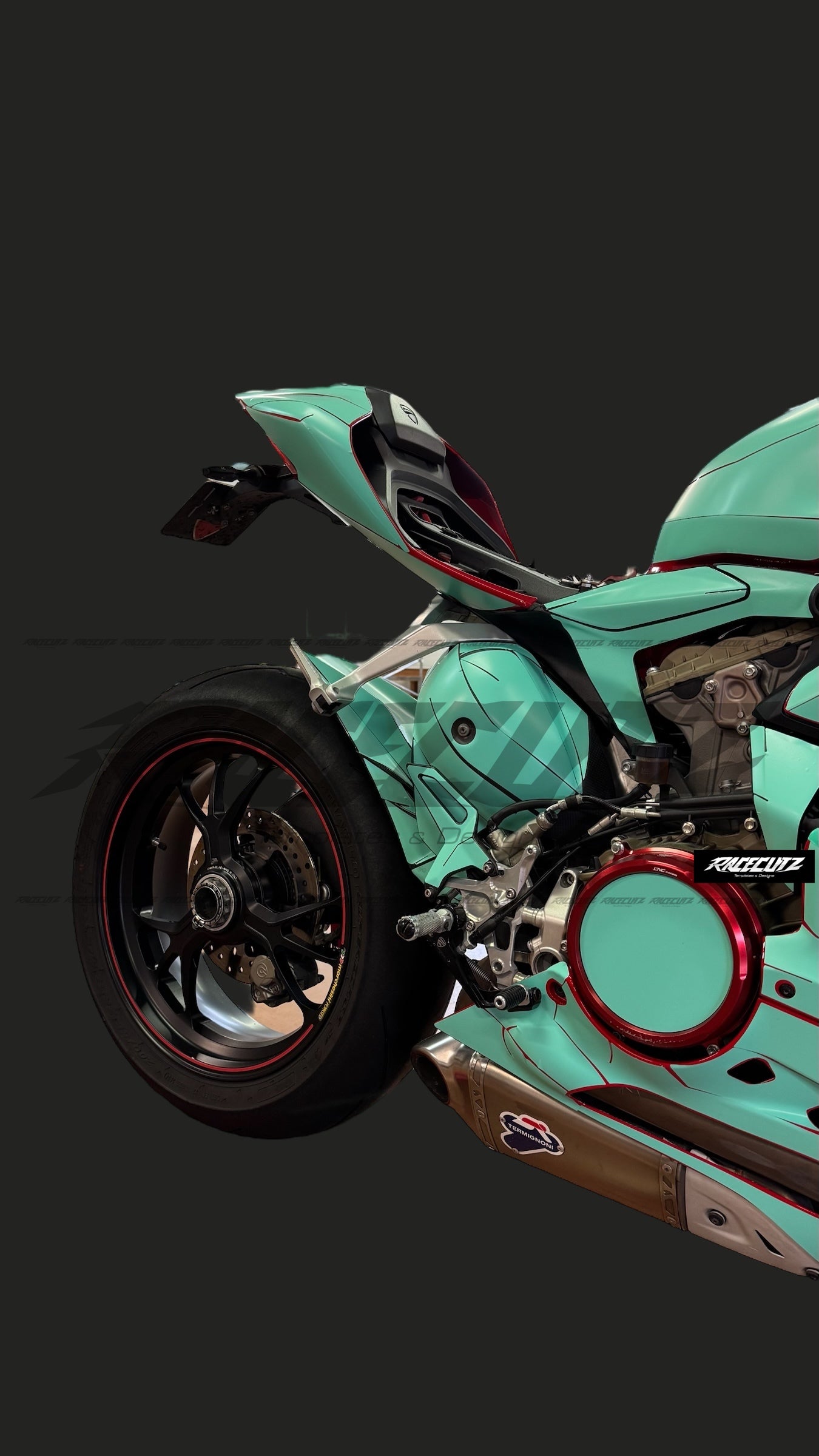 DUCATI 1299 PANIGALE 2015-2017 TEMPLATE