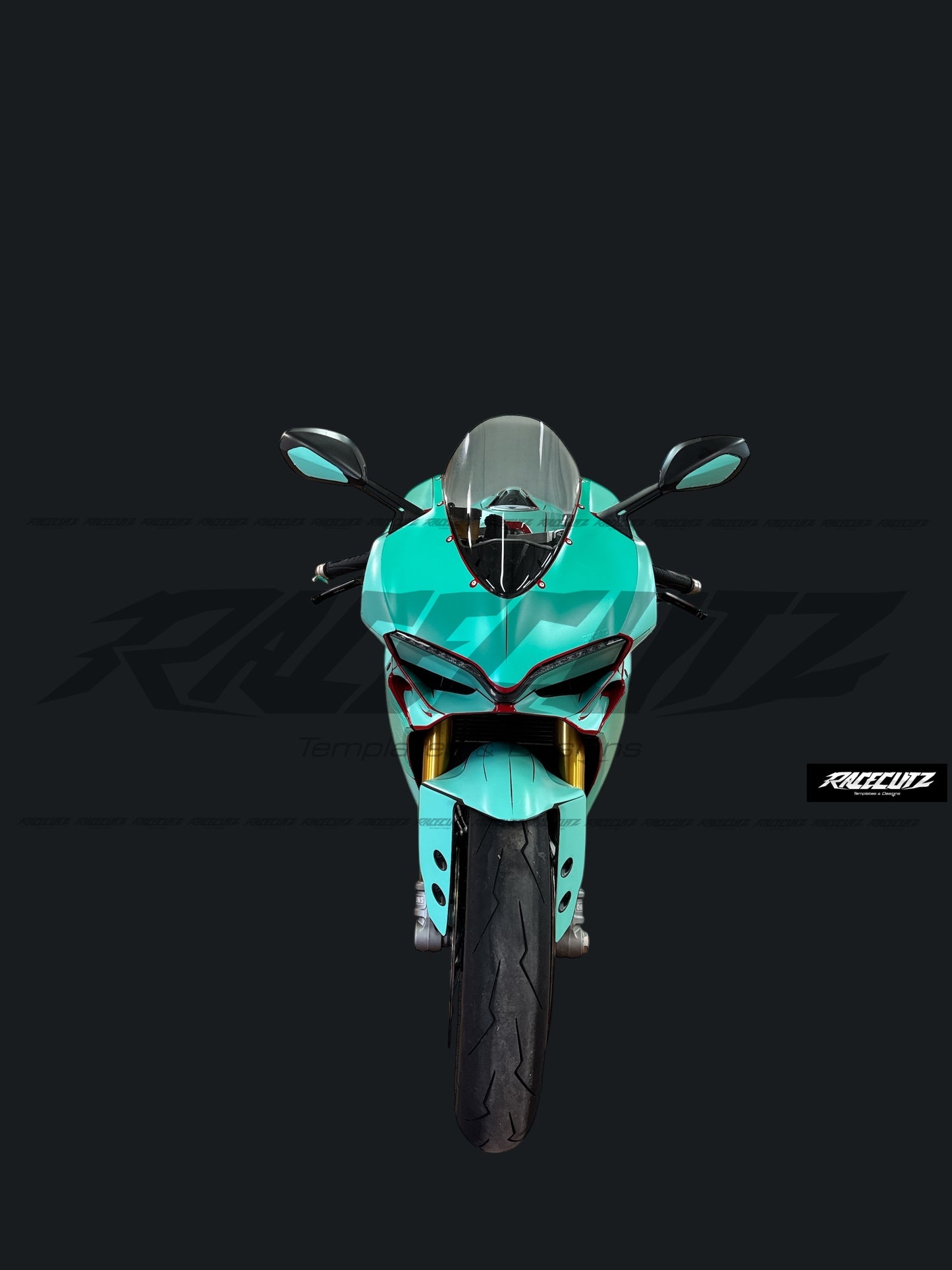 DUCATI 1299 PANIGALE 2015-2017 TEMPLATE