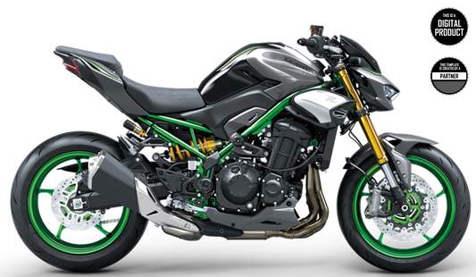 KAWASAKI Z900 2025 TEMPLATE