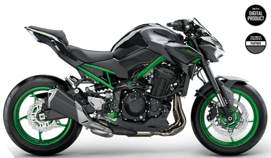 KAWASAKI Z900 2020-2024 TEMPLATE